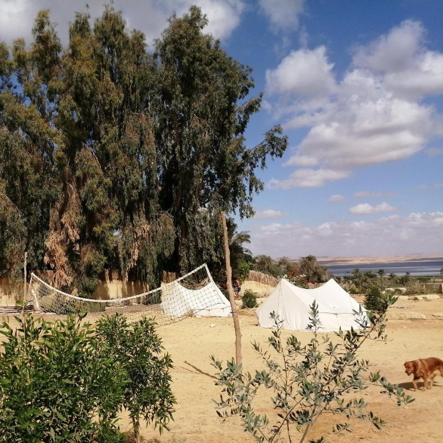 Tunis Village El-Al Fayyūm Habitación foto